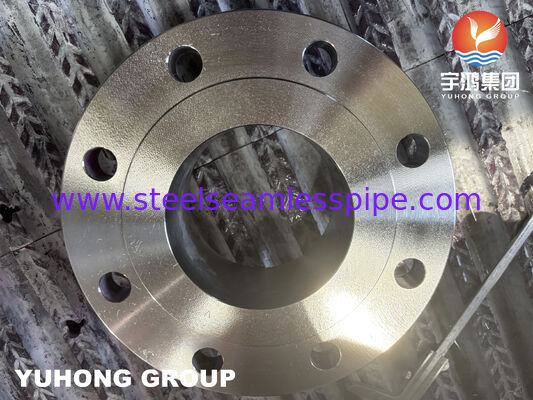 A182 F51 S31803 / S32205 Dupleks Paslanmaz Çelik Kaynak Boynu WNRF Flange