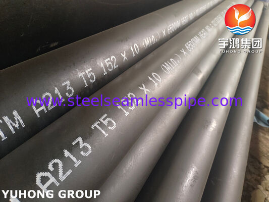 ASTM A213 T5 / 1.7362 Dikişsiz Isı Değiştiriciler Tüpü, Isıtmalar İçin Alaşımlı Çelik Tüp