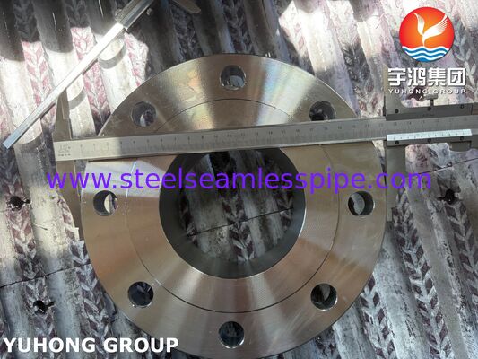 ASTM A182 F51 Flange UNS S31803 Dupleks Çelik Kaynak Boynuz Flange Kalıplı WNRF Flange