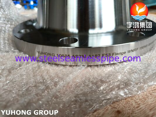 ASTM A182 F53 UNS S32750 SÜPER DUBLEKS ÇELİK DÖVME FLANŞ B16.5