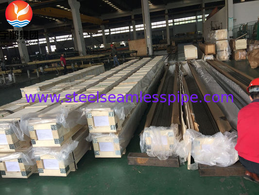 B111 / SB111 C71500 Bakır Nikel Tüpler O61 Buharatçı için Annealed, Cold Draw Seamless Tubing