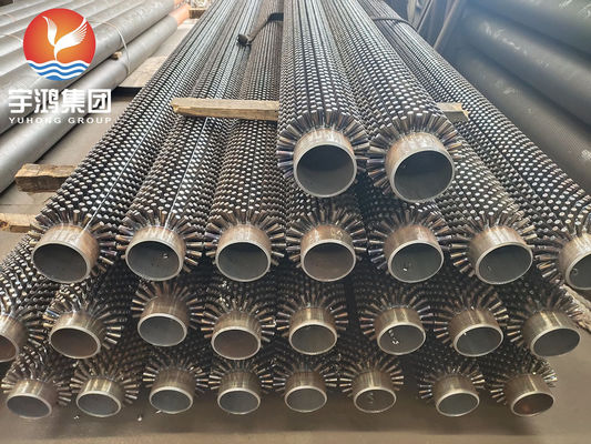 ASTM A312 TP316L Sıcaklık Değiştiricisi için Paslanmaz Çelik Dökme Tüp
