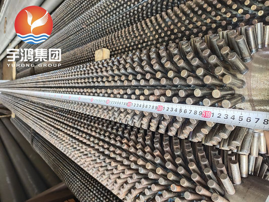ASTM A312 TP316L Sıcaklık Değiştiricisi için Paslanmaz Çelik Dökme Tüp