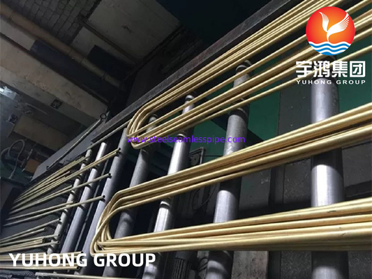 ASTM B111 UNS C68700 Alüminyum Brass Tube U Bend Tube Isı Değiştiricisi Tube