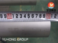 ASTM A249 TP321 Paslanmaz Çelik Kaynaklı Borulu Süper Isıtıcı ve Eşanjör
