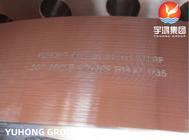 Su Desalinizasyonu ASTM A182 F51 ((UNS S31803) Dupleks Çelik Kaynak Boynuz RF Flange B16.47