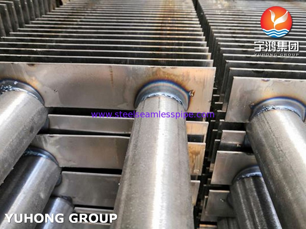 Paslanmaz Çelik Fin Tube H Type A213 TP316L ile SS Fin SS316L duman ısıtıcısı için