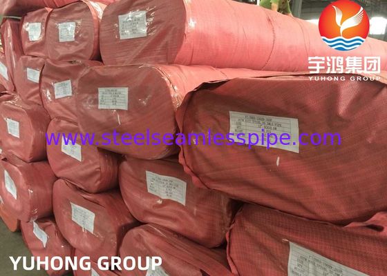 DIN 2.4851 ASTM B163 Inconel 601 / UNS N06601 / Nikel Alaşımlı Eşanjör Borusu