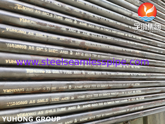 ASME SA213 T22 12Cr2Mo Alloy Steel Seamless Boiler Tube Petroleum