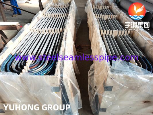 SA213 TP316L (UNS S31603, 1.4404) Isı Değiştiricisi tüpü U Yumuşatma işlemiyle bükülmüş, turşulanmış ve pasifleştirilmiş