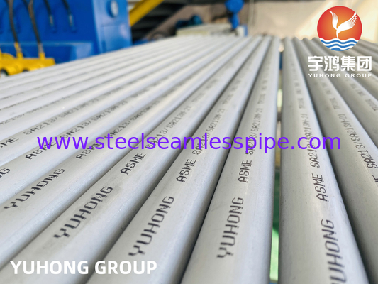 ASTM A213 TP316L, 1.4404, S31603 Paslanmaz Çelik Dikişsiz Isı Değiştiricisi Tüp