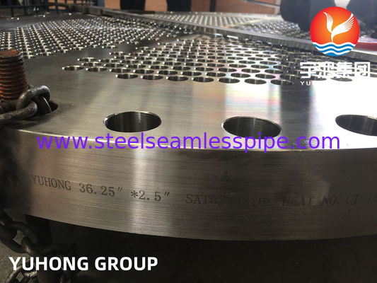 ASME SA182 F316L, 1.4404 Isı Değiştiricileri İçin Paslanmaz Çelik Kalıplı Tüp Yaprakları