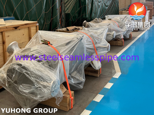 ASME VIII-1 U-Tube Isı Değiştiricisi, Klor-Alkali İşlemleri için UNS N06600 ile kaplanmıştır NACE MR0175