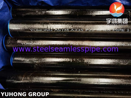ASTM A335 P22 Alaşımlı Çelik Dikişsiz Boru Yüksek Sıcaklık Kullanımı İçin