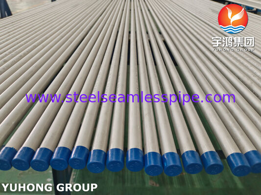 ASTM A213 TP316L 1.4404 Su Temizliği İçin Dikişsiz Paslanmaz Çelik Tüp, ET / HT