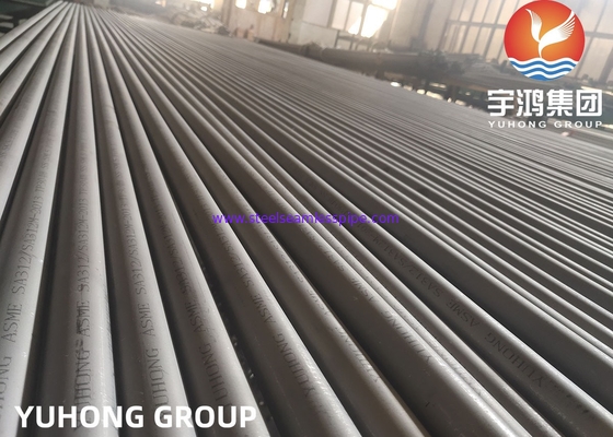ASTM A312 TP304H ((UNS S30409) Kimyasal Sanayi İçin Paslanmaz Çelik Dikişsiz Boru