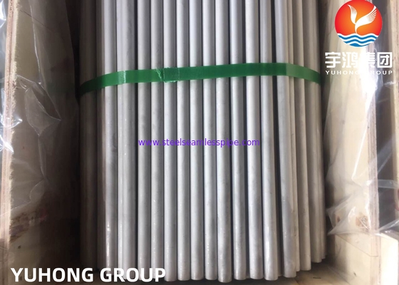 ASTM A213 TP321, 1.4541 Boiler Superheater için Paslanmaz Çelik Dikişsiz Tüp