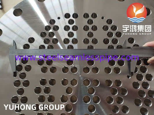 ASTM A182/ ASME SA182 F51, F53, F60, F55 Çifte veya Süper Çifte Tüp Yaprakları