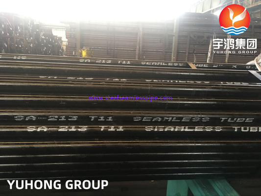 ASTM A213 / ASME SA213 T11 Kızdırıcı İçin Alaşımlı Çelik Dikişsiz Boru